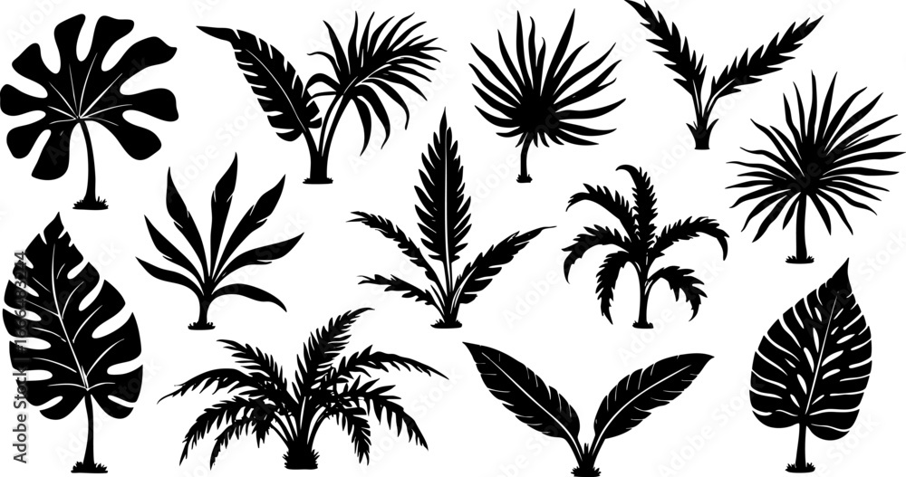 Tropical Leaf Silhouettes Collection Tropical Leaf Silhouettes Collection