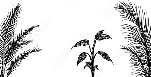 Tropical Leaf Silhouettes Collection 