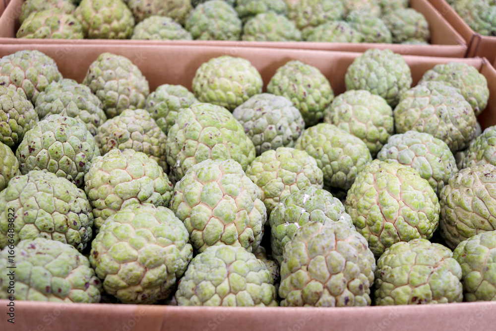 Obraz premium Many fresh sugar apples on sell at Asian local market. Tropical ripe sweet delicious sugar apple fruit at market.