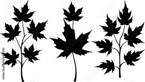 Various Leaf Silhouettes Set