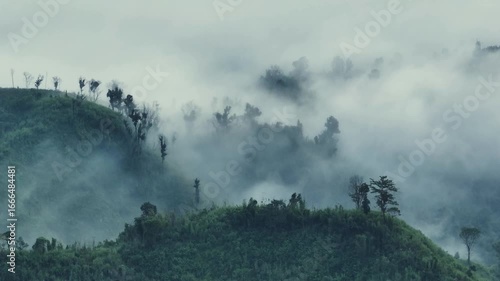 Wallpaper Mural Aerial view of the misty Sajek Valley hills, where verdant green mountains meet the ethereal embrace of low-lying clouds, Sajek, Chittagong Division, Bangladesh. Torontodigital.ca