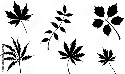 Maple Leaf Silhouettes Collection 