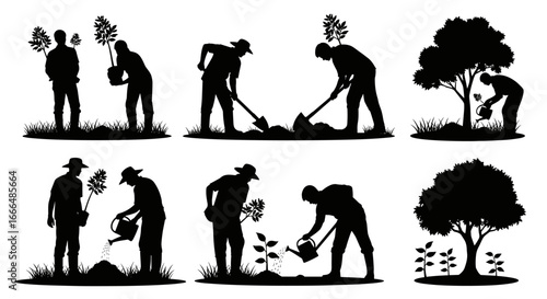 Silhouette of a person gardening, planting and caring for a young tree