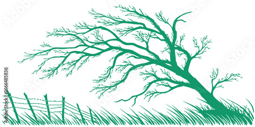 Green silhouette of a bare tree bending in the wind with a fence and grass isolated on transparent background