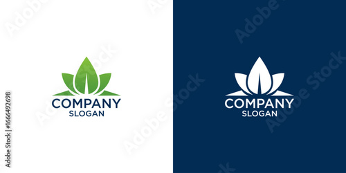 leaf logo design vector	