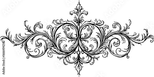 Ornate Hand-Drawn Baroque Flourish and Leaf Scroll 