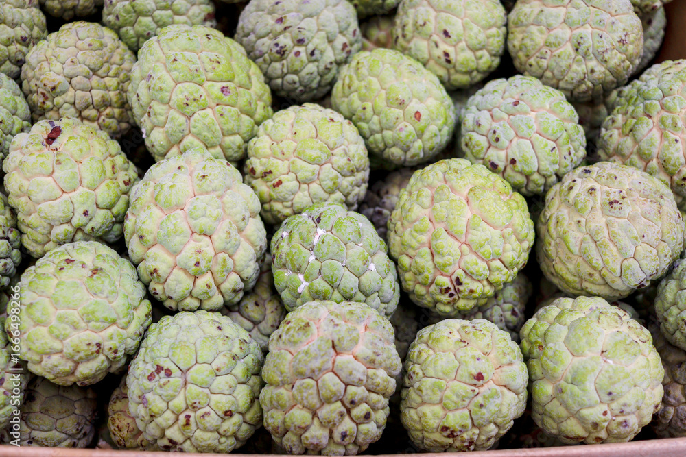 Fototapeta premium Many fresh sugar apples on sell at Asian local market. Tropical ripe sweet delicious sugar apple fruit at market.