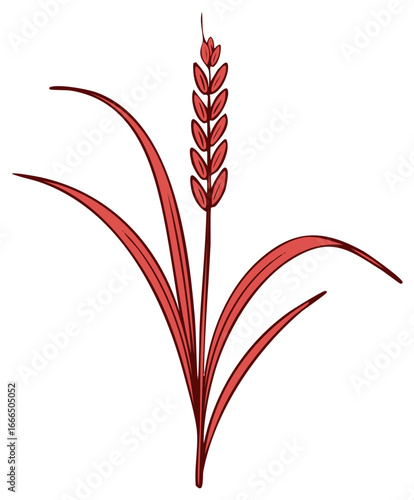 Stylized red rice plant vector illustration with grain stalk