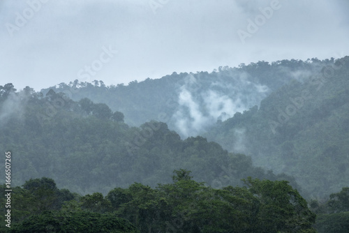 fog in the mountains