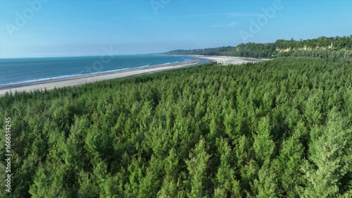 Aerial view of the lush green trees meeting the sandy beach and blue ocean under a clear sky, Cox's Bazar, Chittagong Division, Bangladesh.