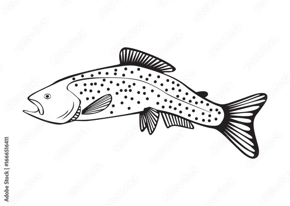 Fototapeta premium Trout Fish Vector Illustration, Black and White Silhouette Design