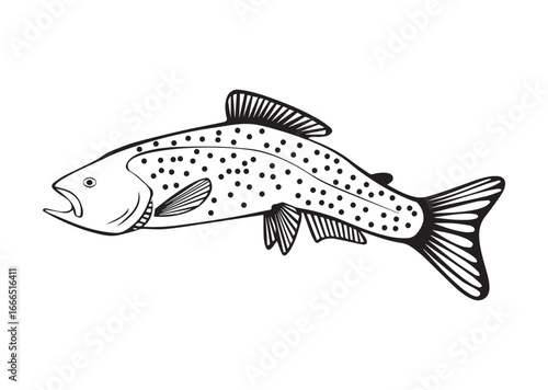 Trout Fish Vector Illustration, Black and White Silhouette Design