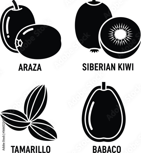 Illustration of four exotic fruits araza siberian kiwi tamarillo and babaco