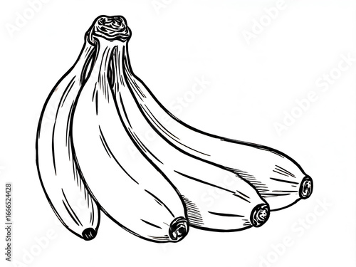 A stylized 2D line art sketch of a bunch of bananas.