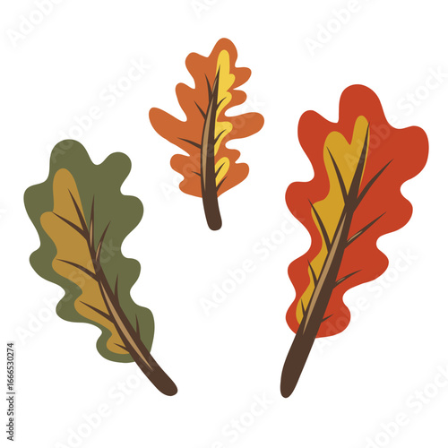 Set of fallen oak tree leaves illustration. Isolated vector  elements. Green and red autumn leaf with yellow and brown stains