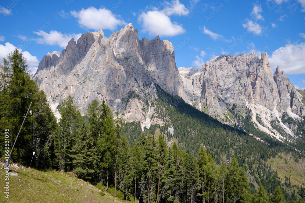 Obraz premium Panoramas of the Alpe Ciampedie, Vigo di Fassa, Val di Fassa, Trento, Trentino Alto Adige, Italy