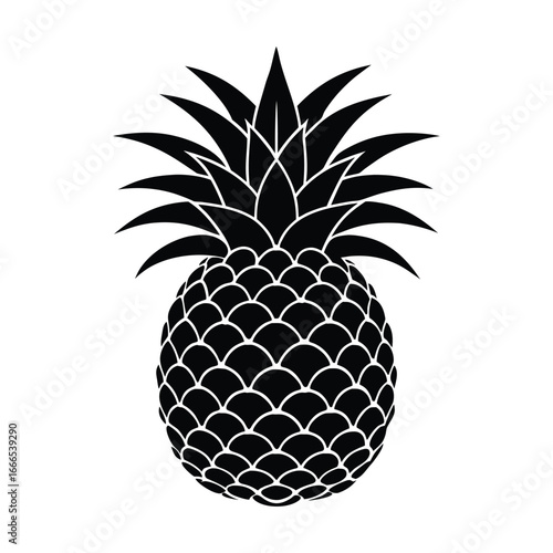vector illustration of pineapple
