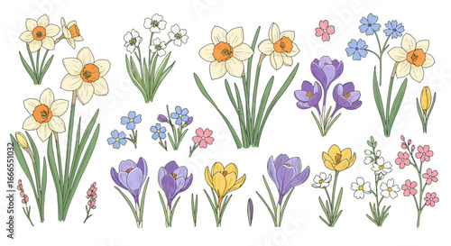 Charming collection of diverse springtime flowers illustrated with delicate detail