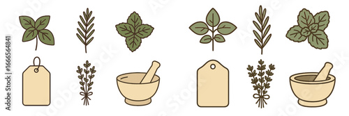 Herb collection with mortar and pestle in a simple vector style