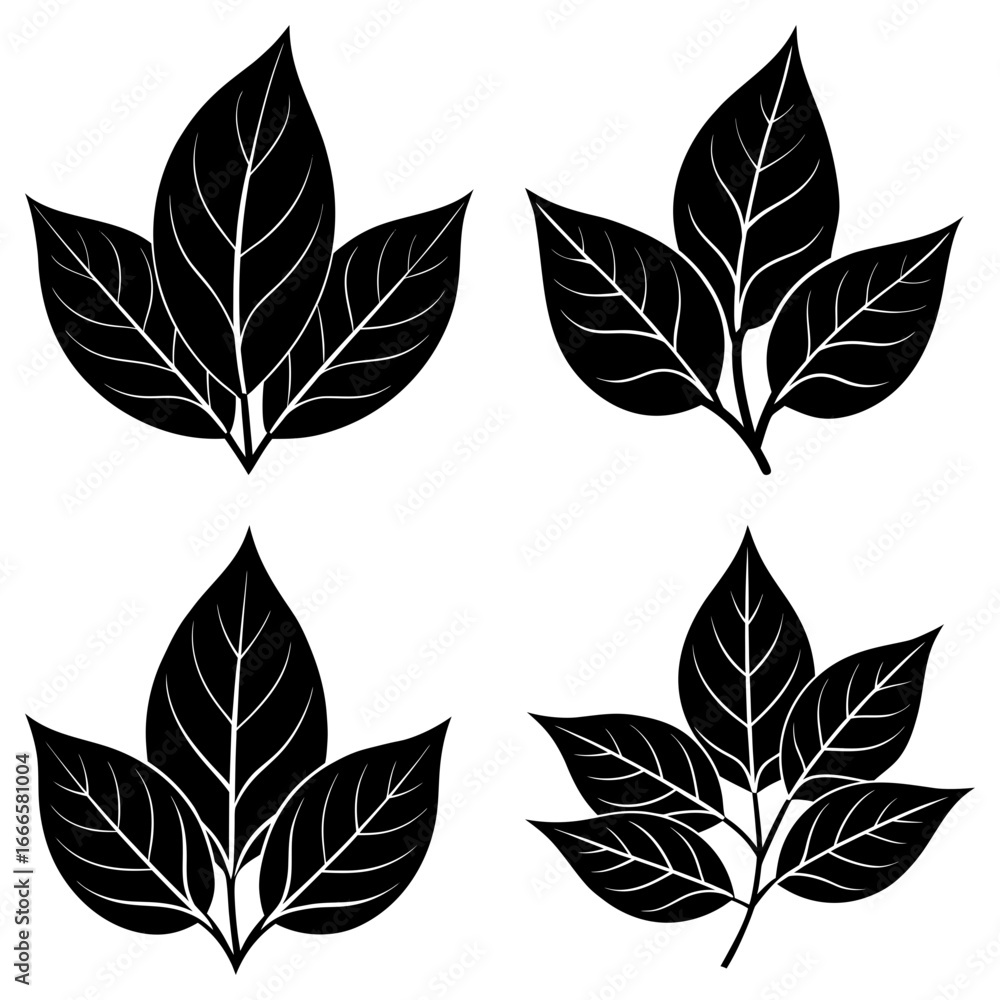Fototapeta premium Four black leaf clusters with detailed veins arranged symmetrically on a white background art design