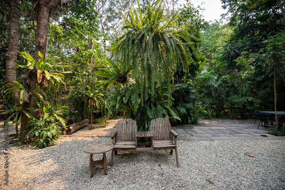 Obraz premium A green world in a relaxing corner