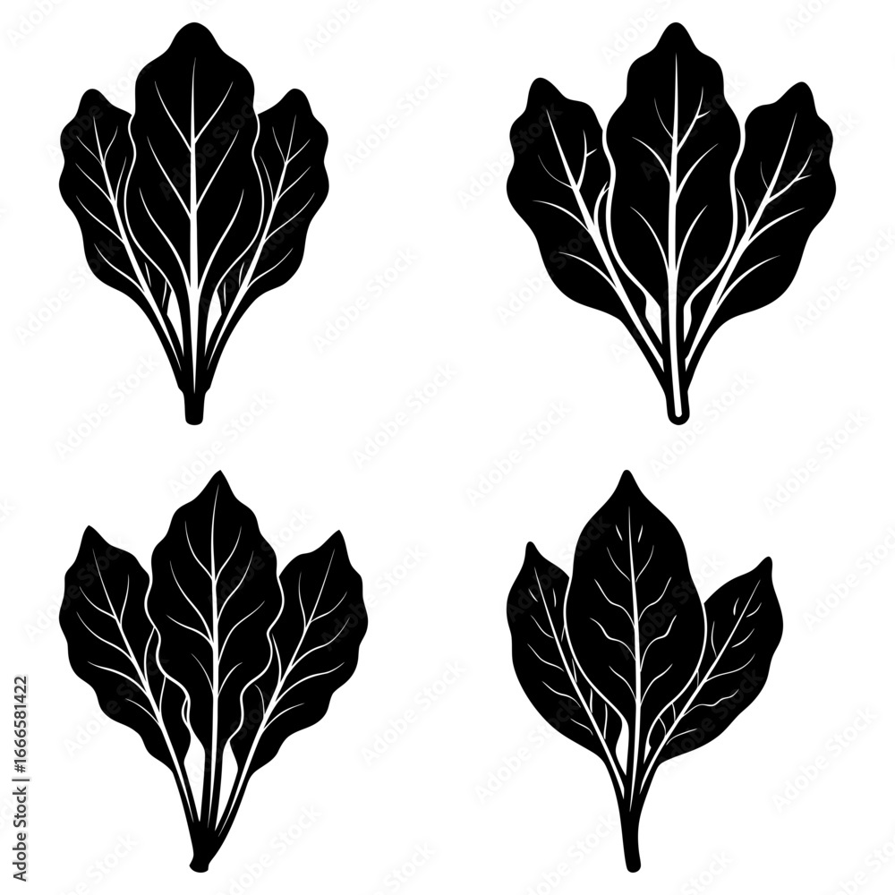 Obraz premium Four stylized black and white leaf clusters with prominent veins on a white background are displayed