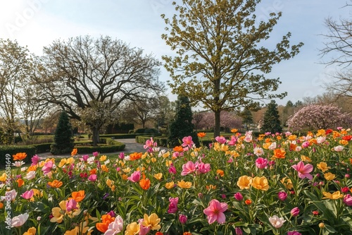 Wallpaper Mural Island adorned with blossoming flowers Torontodigital.ca