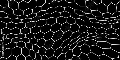 Black and white honey hexagonal cells background. geometric hive hexagonal honeycombs. Vector illustration