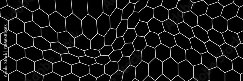 Black and white honey hexagonal cells background. geometric hive hexagonal honeycombs. Vector illustration