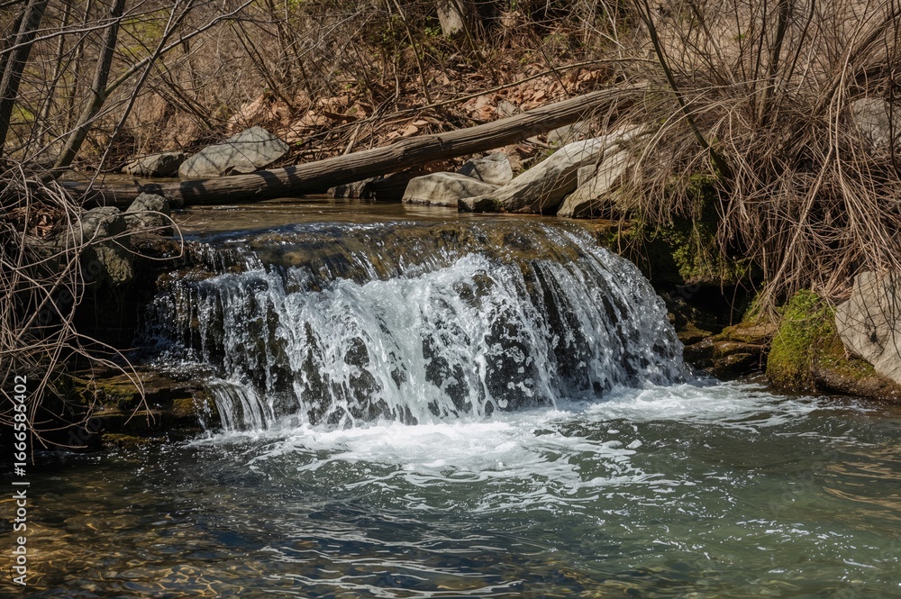 Obraz premium Waterfall and flowing stream