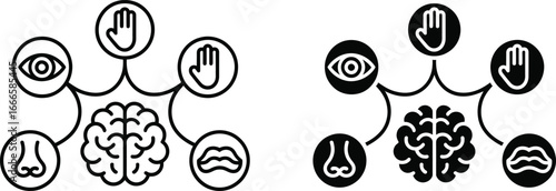 Human senses connected to the brain diagram