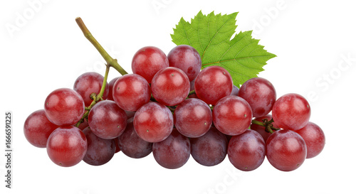 Isolated Bunch of Red Grapes