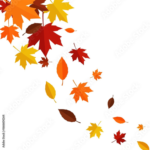 Autumn leaves in various colors swirling and falling against a white background
