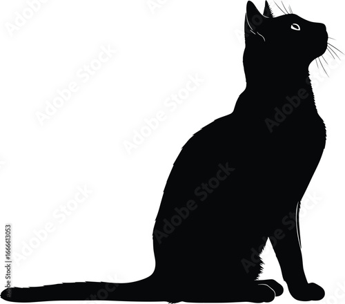 Black cat silhouette sitting upright, vector illustration, feline pose, curious domestic pet, isolated on white background, minimal animal artwork