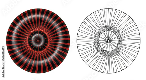 Amazonian Millipede Coloring Page Sheet with Detailed Line Art and Full Color Version