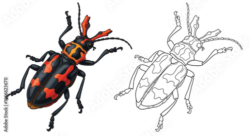 Intricate Harlequin Beetle Coloring Sheet for Adults with Detailed Realistic Insect Design