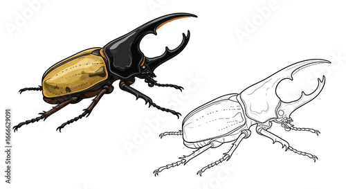 Intricate South American Hercules Beetle Coloring Sheet with Detailed Insect Design