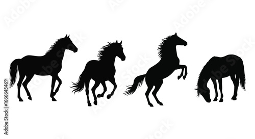 Majestic silhouette horse herd galloping rearing grazing graceful equine movement animal power wildlife vector