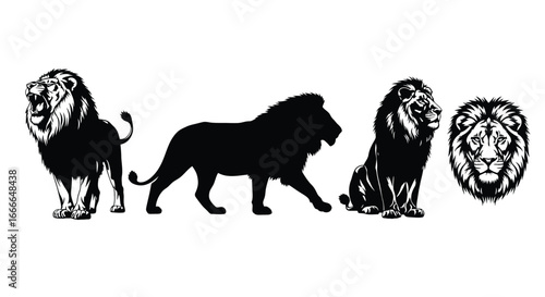 Majestic lion collection diverse poses and majestic head graphic design elements vector