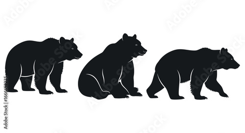 Three black silhouette bears standing and sitting in natural poses on white vector