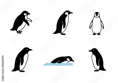 Illustration Six cartoon penguins in various poses some standing swimming or walking
