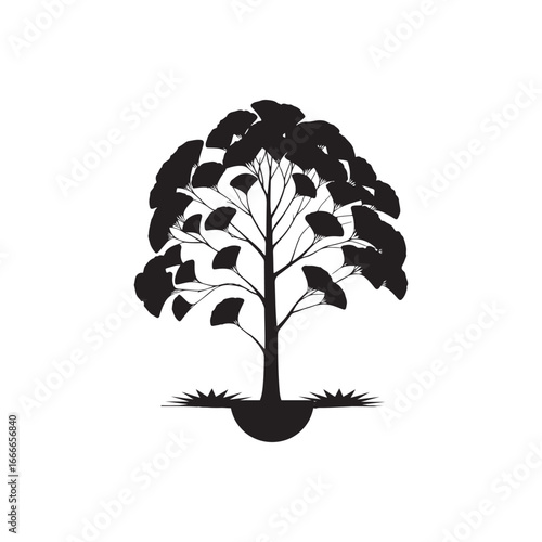 Ginkgo Biloba Tree Silhouette Vector Design.