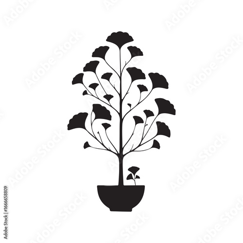 Ginkgo Biloba Tree Silhouette Vector Design.
