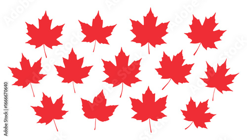 Collection of stylized red maple leaves arranged in a scattered pattern representing autumn and canadian symbols isolated on transparent background