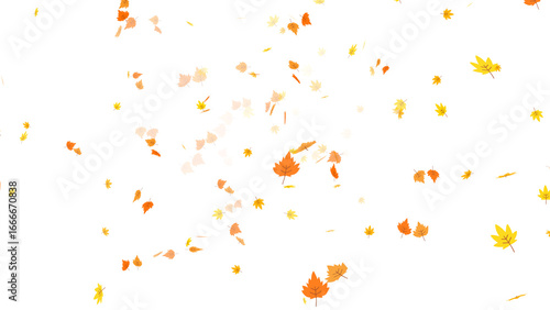 Beautiful autumn leaves in warm orange and yellow tones falling gracefully. 2D illustrated graphic overlay element with a transparent background for seasonal projects and nature themes.