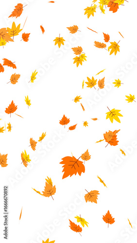 Illustration of vibrant autumn leaves in shades of orange and yellow, dynamically falling through the air. Seasonal nature graphic with a transparent background for easy compositing and design.