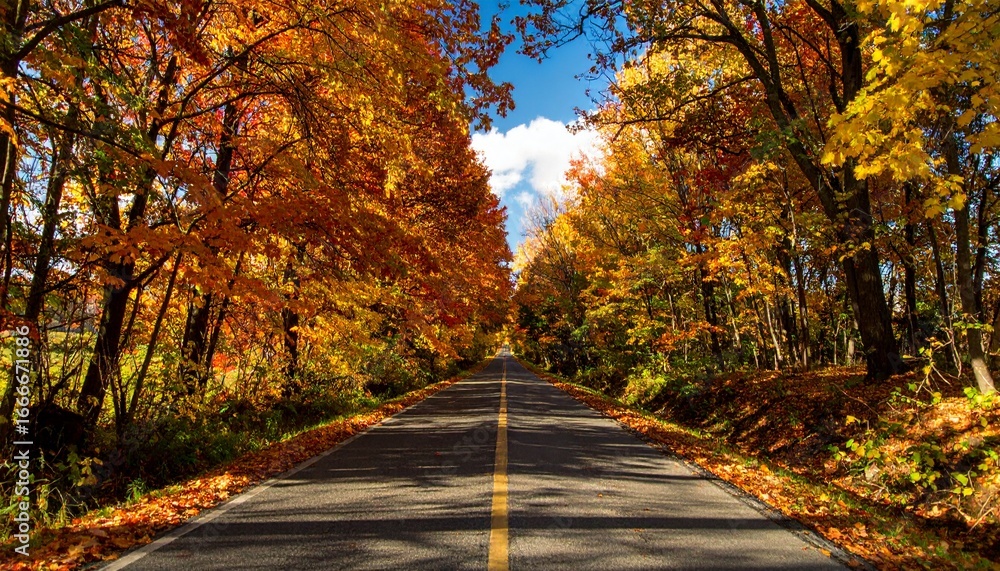 Obraz premium Scenic Autumn Road Lined with Vibrant Orange and Yellow Trees Under Blue Sky