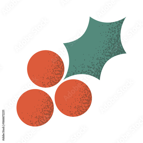 Christmas mistletoe berry holly branch