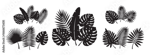 Collection of six stylized black silhouette clusters of tropical palm leaves and monstera leaves isolated on transparent background for design