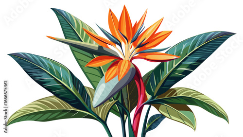 Strelitzia reginae plant rises with elegant leaves, isolated on white background, abstract botanical silhouette merging realism with artistry, timeless exotic bloom rendered in delicate semi-realistic